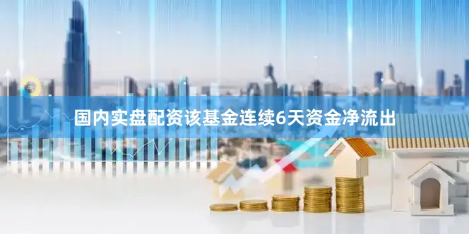 国内实盘配资该基金连续6天资金净流出