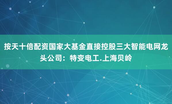 按天十倍配资国家大基金直接控股三大智能电网龙头公司：特变电工.上海贝岭