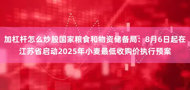 加杠杆怎么炒股国家粮食和物资储备局：8月6日起在江苏省启动2025年小麦最低收购价执行预案