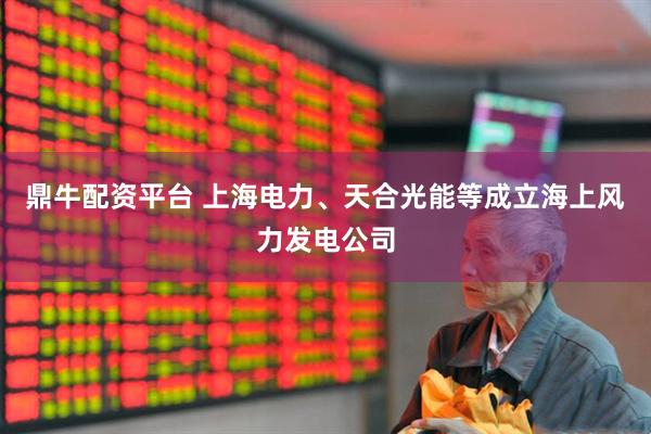 鼎牛配资平台 上海电力、天合光能等成立海上风力发电公司
