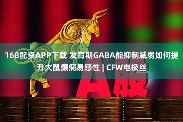 168配资APP下载 发育期GABA能抑制减弱如何提升大鼠癫痫易感性 | CFW电极丝