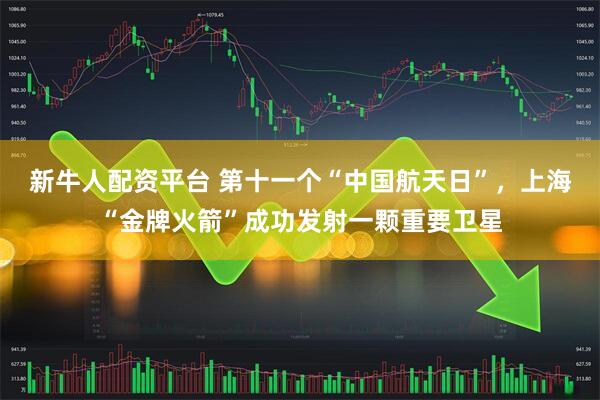 新牛人配资平台 第十一个“中国航天日”，上海“金牌火箭”成功发射一颗重要卫星