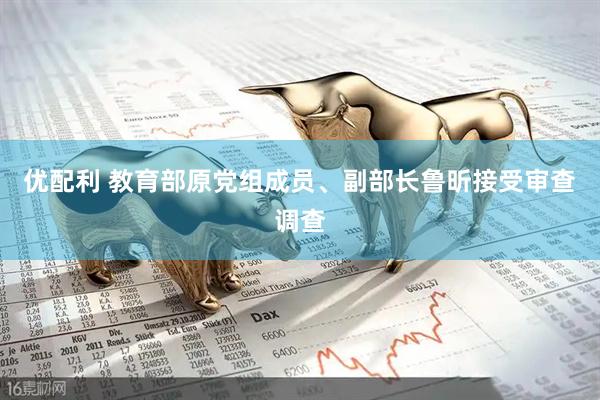 优配利 教育部原党组成员、副部长鲁昕接受审查调查